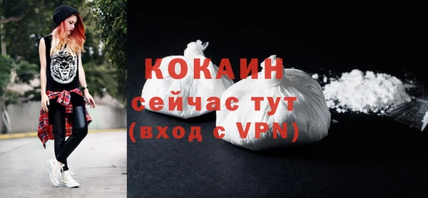ПСИЛОЦИБИНОВЫЕ ГРИБЫ Строитель