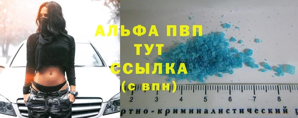2c-b Бородино