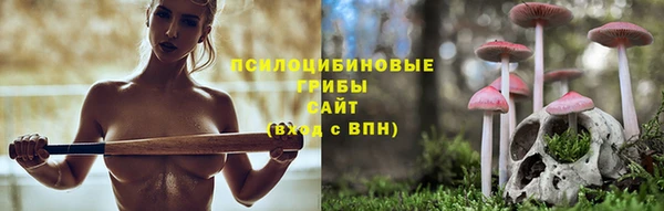 гидра Бронницы