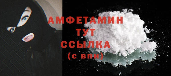 ПСИЛОЦИБИНОВЫЕ ГРИБЫ Строитель
