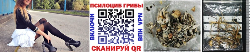 Купить закладки  Полярный  Галлюциногенные грибы Magic Shrooms 